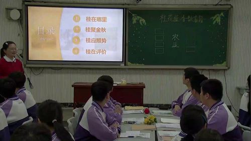 《桂花盈香致富路》人教版八上地理2025跨学科融合展示课视频