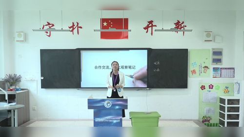 《合作交流,优化观察笔记》部编版七上语文2025第四届青年教师无生教学竞赛视频