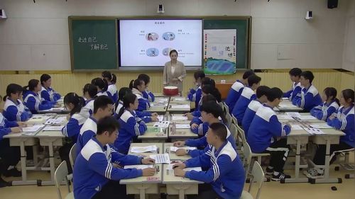 《走近自己,了解自己》高中生心理健康教育展示课视频