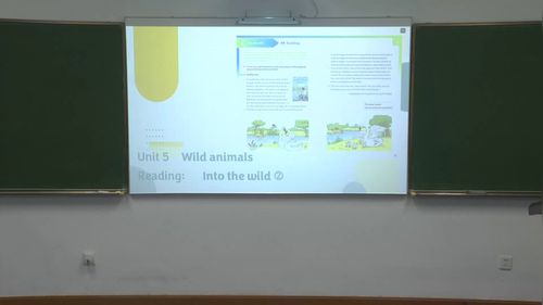 《Unit 5 Wild animals》2025》2025第六届青年教师教学竞赛视频