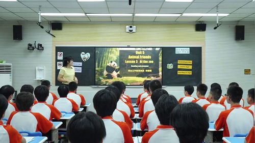 《Unit 5 Lesson 3 At the zoo》冀教版七上英语2025优质课展评课堂实录视频