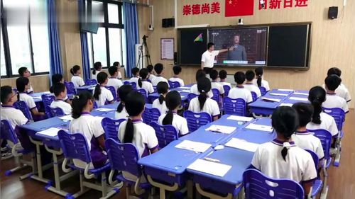 《三角形的内角和定理》湘教版八上数学2025第十四届青年教师教学大赛视频