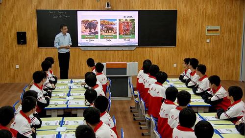 《Unit 5 Lesson 5 Save the tigers》冀教版七上英语2025优质课展评课堂实录视频