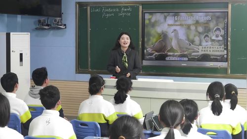 《Unit6 Understanding ideas Pigeon surprise》外研版七上英语2026人工智能赋能课堂教学典型案例课堂实录视频