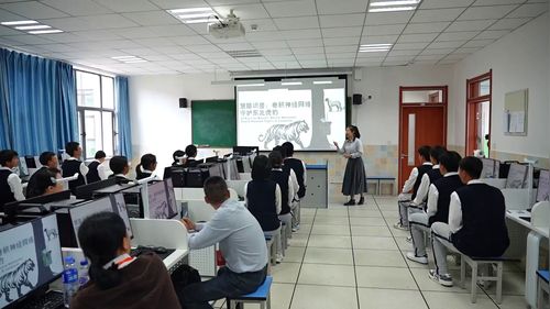 《慧眼识兽：卷积神经网络守护东北虎豹》人教中图版必修四2025第七届高中信息技术优质课赛课特等奖