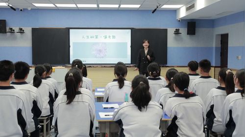 《我的色彩人生》高中心理健康教育优质课