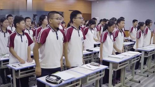 《三角形章末复习》北师版七下数学2025第十四届青年教师教学大赛视频