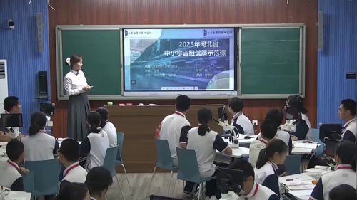 《细胞的生命活动》冀少版七上生物2025展示课视频
