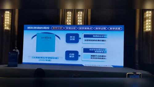 《燃料燃烧的调控》人教版九年级2025初中化学说播课视频