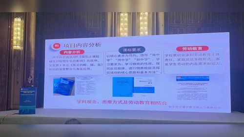 《守护家乡的滋味——助力葡萄生长项目式学习》人教版九年级2025初中化学说播课视频