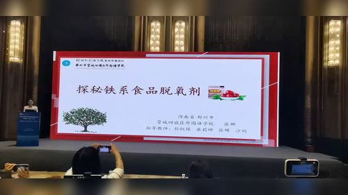 《探秘铁系食品脱氧剂》人教版九年级2025初中化学说播课视频