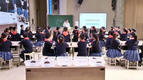 《种子的传播》教科版四年级第十一届小学科学优质课赛课一等奖视频