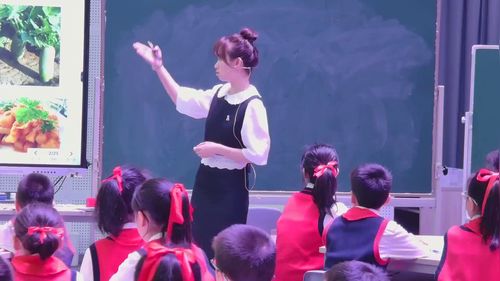 《比较不同的土壤》教科版四年级第十一小学科学优质课竞赛一等奖视频
