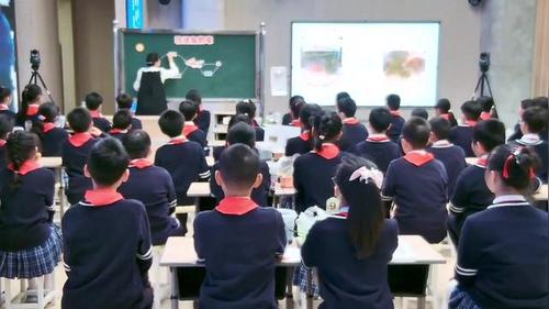 《改进鱼的家》教科版五年级第十一届小学科学优质课赛课一等奖视频
