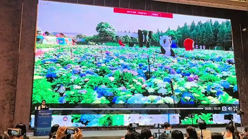 《绣球花调色的化学密码——微项目驱动酸碱盐知识的复习与应用》人教版九年级2025初中化学说播课展示视频