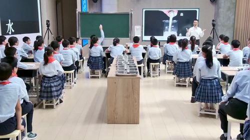 《小苏打与白醋的反应》教科版六年级第十一届小学科学优质课赛课一等奖视频