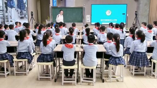 《仰望天空》教科版三下第十一届小学科学优质课赛课一等奖视频