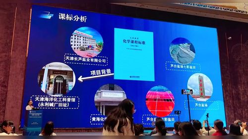 《一朵芦花盐——天津的海洋资源与化学工业》人教版九年级2025初中化学说播课视频