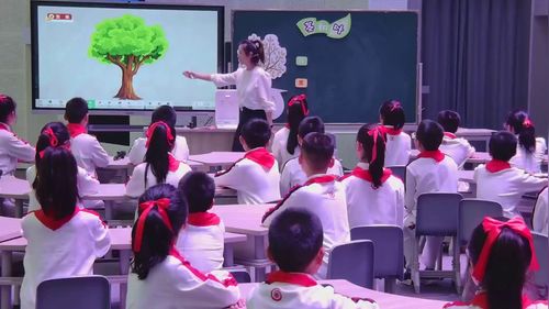《茎和叶》教科版五上第十一届小学科学优质课竞赛一等奖视频