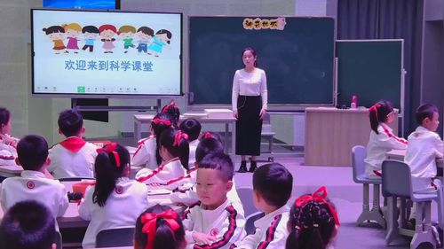 《神奇的纸》教科版二上第十一届小学科学优质课竞赛一等奖视频
