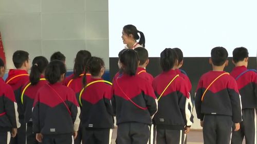 《发展反应与灵敏的游戏》三年级体育与健康2025真实情境与核心素养深度融合名师课堂实录视频