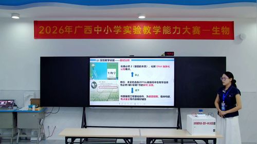 《STEAM项目式探究——生活化自制装置开展DNA粗提取与电泳鉴定》人教版高中生物选择性必修三2026实验说课教学能力大赛视频