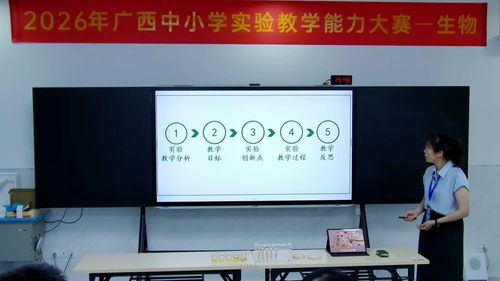 《水果蛋白酶的活性鉴定与探究》人教版高一生物必修一2026实验说课教学能力大赛视频