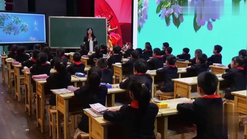 《邓小平爷爷植树》二年级下册部编版语文优质课教学视频