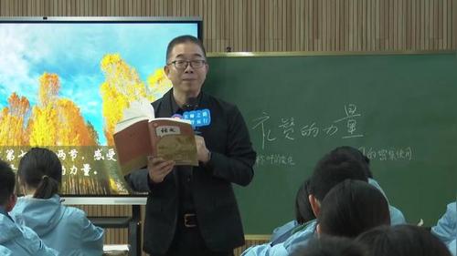 《白杨礼赞》部编版八上语文2025名师示范课视频