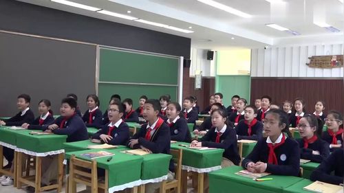 《插上科学的翅膀飞》六年级下册部编版语文优质课教学视频