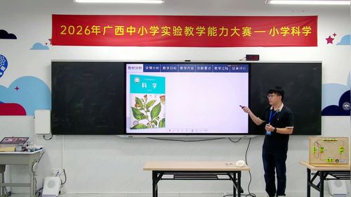 《导体和绝缘体》教科版四下科学2026说课教学能力大赛一等奖视频