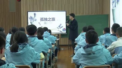 《孤独之旅》部编版九上语文2025名师示范课视频