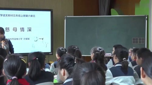 《慈母情深》五年级上册获奖公开课部编版小学语文优质课