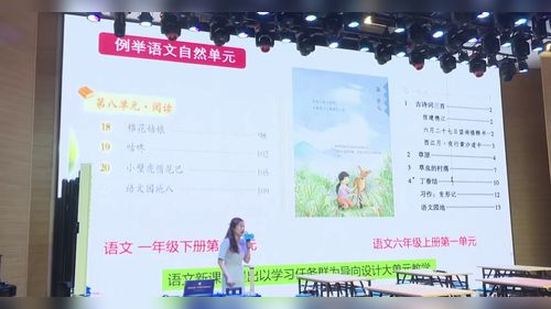 《核心素养导向 大单元教学的实践与思考》部编版小学道德与法治2025名师讲座视频