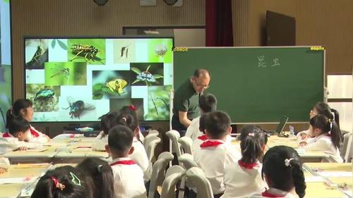 《昆虫》教科版三年级科学2025名师示范课视频