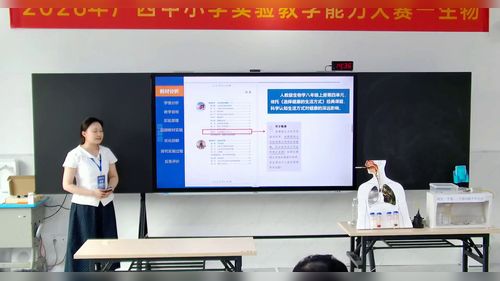 《探究吸烟的危害》人教版八上生物2026实验说课教学能力大赛视频