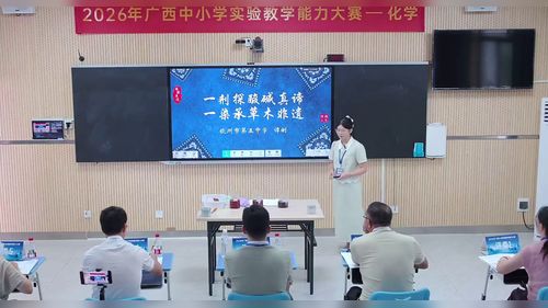 《一剂探酸碱真谛》科粤版九年级化学2026实验说课教学能力大赛视频