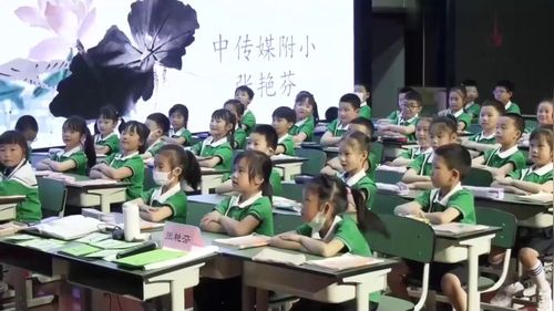 《小池》公开课一年级下册部编版小学语文优质课教学视频