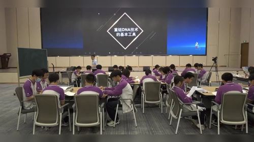 《重组DNA技术的基本工具》人教版高中生物选择性必修三2023展示课视频
