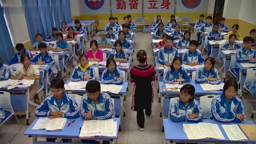 《促进民族团结》新课标部编版道法九上公开课