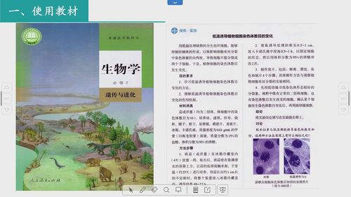 《二甲戌灵诱导植物细胞染色体数目的变化》人教版高一生物必修二第九届全国生物实验说课大赛视频