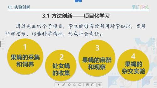 《果蝇饲养与杂交实验》人教版高中第九届全国生物实验说课大赛视频