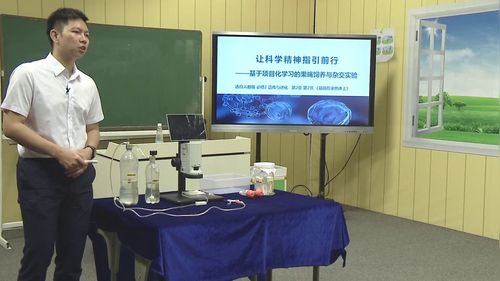 《果蝇的培养与杂交实验》人教版高中生物实验说课视频