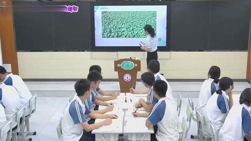 《酚的性质和应用—荷叶中多酚的提取》高中化学新教材优质公开课苏教版