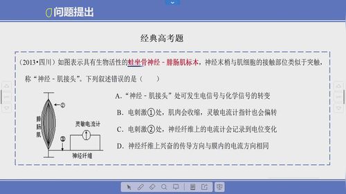 《神经兴奋的可视化探究及教学应用》人教版高中生物选择性必修一第九届实验说课大赛视频