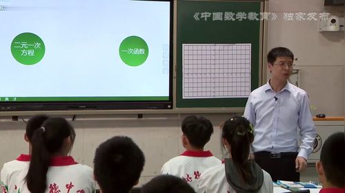 《二元一次方程与一次函数》初中数学优质公开课北师大版八上