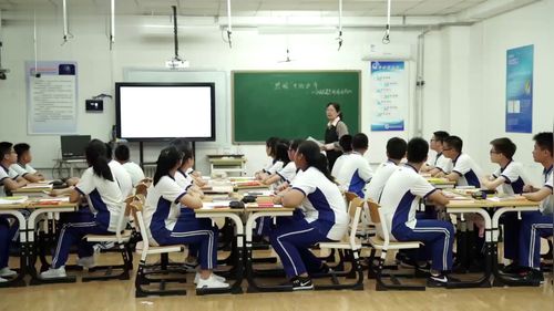 《钢铁是怎样炼成的》摘抄和做笔记-初中语文优质公开课
