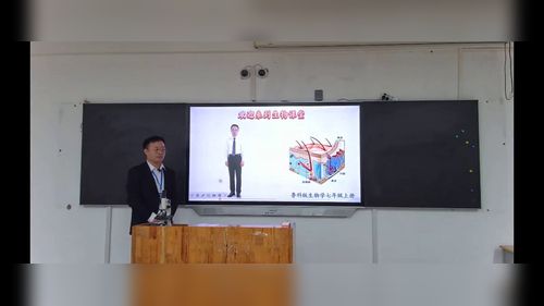 《汗液的形成和排出》鲁科版七上生物2025山东中小学青教赛视频