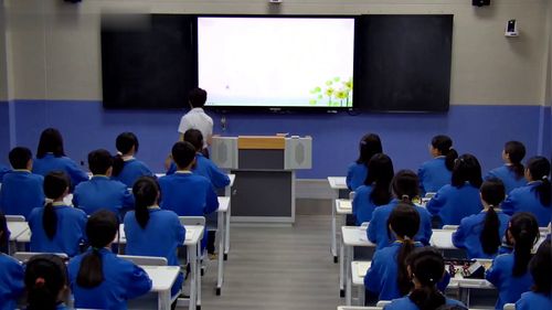 《欧姆定律在串、并联电路中的应用》人教版初中物理九上公开课