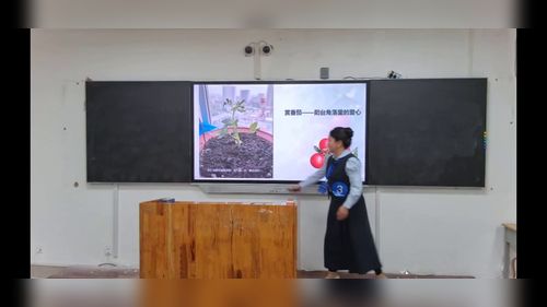《植物体的结构层次》人教版七上生物2025山东中小学青教赛视频